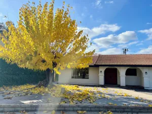 Image of Organic Soulful Ojai Oasis - newly renovated