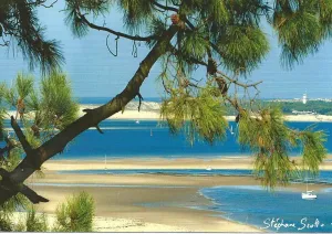 Image of Pyla Sur Mer: House \/ Villa - Pyla sur mer