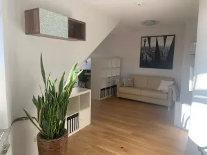 Image of Modern 50 sqm apartment with living room, bedroom and balcony