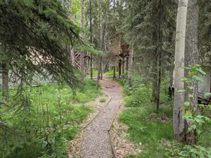 Image of Treehouse \"Indiana Jones\"