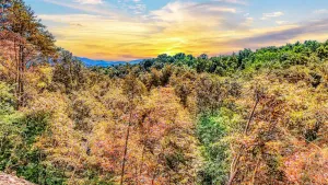 Image of Mighty Birdsong: 2 New Cabins w\/ Hot Tubs, Indoor Pools, Mtn Views, Firepit
