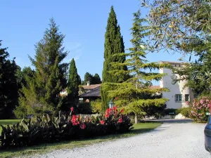 Image of MAS PROVENCAL 5 mn from Nîmes