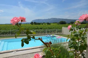 Image of View Sainte Victoire, large new apartment with swimming pool near Aix-en-Provence