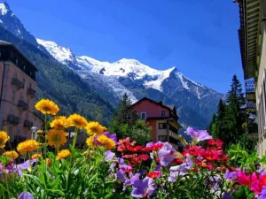 Image of TOP 4810 MONT-BLANC