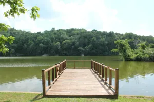 Image of Clementine Cottage- Quiet Charming House on Lincoln Lake