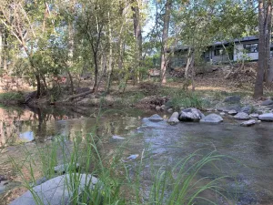 Image of Creekside Cabin Under the Sycamores