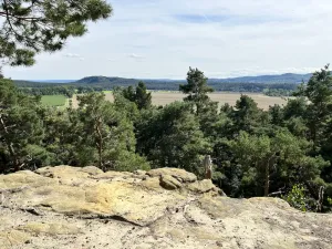 Image of Holiday home Harz insider tip