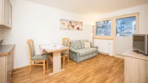 Image of App. Kiefer - House Bilgeri Apartments