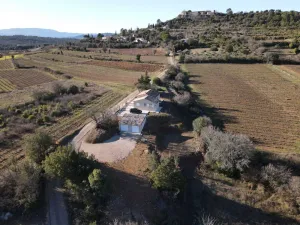 Image of Country villa amidst vineyards
