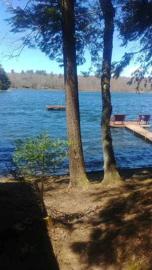 Image of Family friendly lakefront cottage