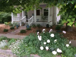 Image of Two bright rooms in charming 1910 Old Town cottage.