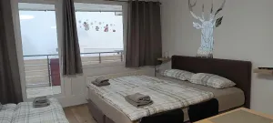 Image of PENTHOUSE Appartement Bergliebe Sankt Englmar