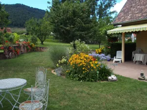 Image of La maison au calme - 2 guest rooms - Centre Alsace