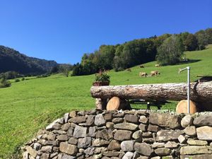 Image of Holiday among locals