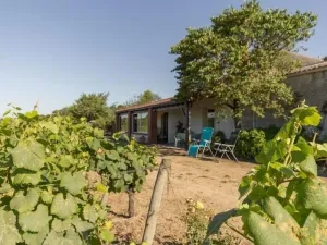 Image of Quiet cottage on vineyard, fireplace, wifi, baby equipment, near Nantes