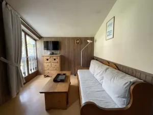 Image of Appartement 2 pièces cabine à 700m du village - Praz-Sur-Arly - 6 pers - Ski et lac prox. - FR-1-603-61