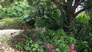Image of Maleny Bramasole on the mountain view