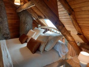 Image of Hanging tree house