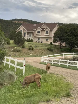 Image of Black Bear Ridge Vacation Home