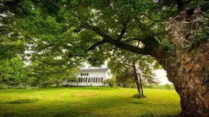 Image of 3300 sq ft house close to SLU, SUNY Canton, Clarkson, and SUNY Potsdam