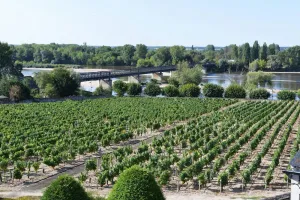 Image of Holidays in Pouilly \/ Loire overlooking the Loire and the vineyards classified 2 stars