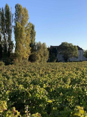 Image of Charmante maisonnette avec vue sur le Clos Vougeot