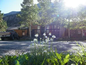 Image of Summertime in the Mountains