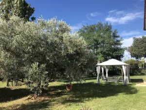 Image of Cottage near the Camargue, fenced garden, swimming pool, pets allowed