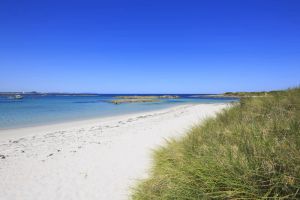 Image of Cosy cottage close to the South Coast beaches, National Park and Bibbulmun Track