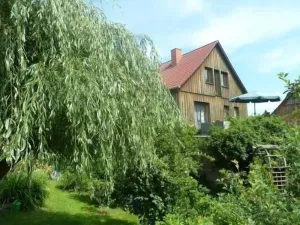 Image of Holiday apartment Trusetal for 1 - 4 persons with 1 bedroom - Holiday apartment