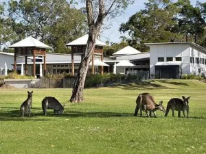 Image of Luxury 2 bedroom house-family getaway in bushland resort: beach,pool,spa,tennis.
