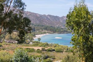 Image of Apartment\/ flat - SAINT FLORENT