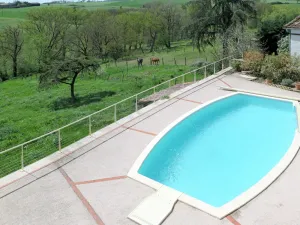 Image of Wonderful private villa with private pool, WIFI, A\/C, TV, terrace, pets allowed and parking