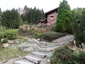 Image of Quiet studio with terrace at the edge of the forest