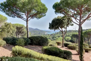 Image of PROMO A totally unspoilt corner of paradise on the Saint Tropez peninsula