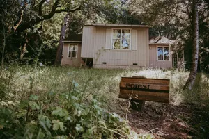 Image of Forest Cottage