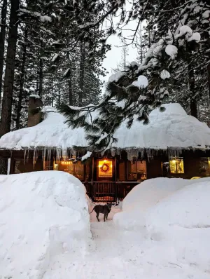 Image of 3BD Pet-Friendly Log Cabin | Fast Wifi | Hot Tub | By Lake | Ski