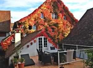 Image of Holiday apartment Uhwiesen for 1 - 8 persons with 3 bedrooms - Holiday apartment