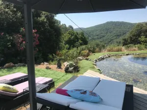 Image of VILLA PISCINE NATURELLE (ecological)
