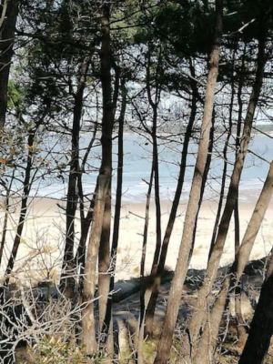 Image of Vacation home Ronce les Bains (6 people) Private parking - garden-terrace