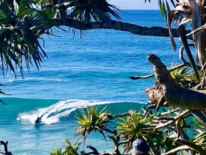 Image of CABARITA BEACH - XL 2BED 3POOLS+SPA-BEACH LOCATION