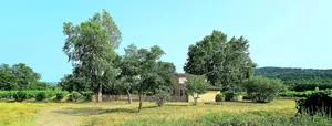 Image of Le Platane - Cuers - Gîte