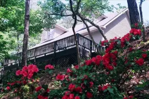 Image of Charming 3 BR Cottage on Top of a Hill, Private Walk to Roanoke Sound
