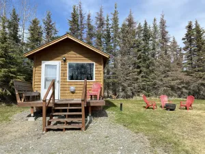 Image of Modern Cabin @ Moose Tracks Lodging