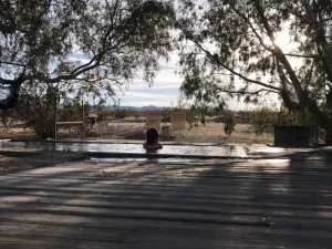 Image of Joshua Tree Hot Springs House