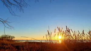 Image of Lovely Lakeside Living