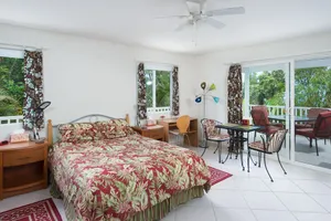 Image of Beautiful, Spacious, Garden View Studio with Kitchenette. Wir Sprechen Deutsch.