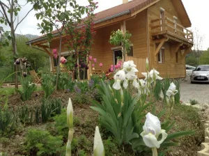 Image of WOODEN HOUSE IN GAP (05000)
