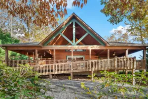 Image of The Bears Den - Pet Friendly, Fire Pit, Kayaks!