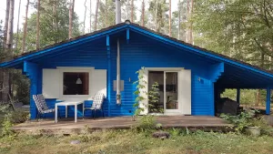 Image of \"Forest bathing\" in Wendland, near the Elbe - hiking and cycling from the doorstep